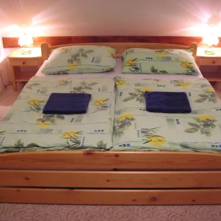 Lejlighed Pension-apartmany Apollo *
