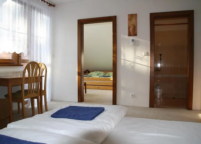 Апартаменты Pension-apartmany Apollo *