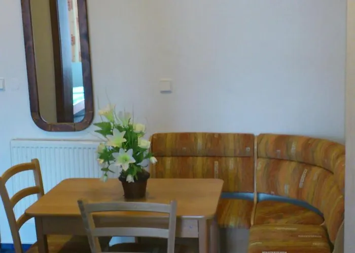 Апартаменты Pension-apartmany Apollo *