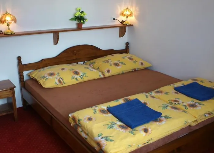 דירה Pension-apartmany Apollo *